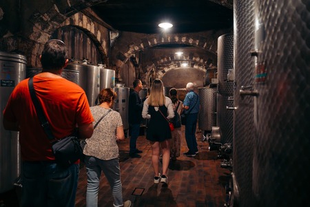 V osrčju dežele terana; Vir: Arhiv Občine Sežana 